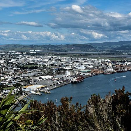 Up In The Stars B&B Tauranga Exterior photo